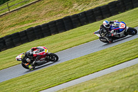 Advanced Group Multicolour Bikes